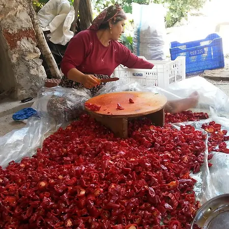 Beymelek Tas Evler Gospodarstwo wiejskie Demre