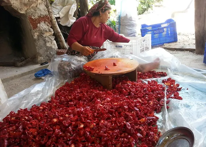 Beymelek Tas Evler Εξοχικό σπίτι Zümrütkaya