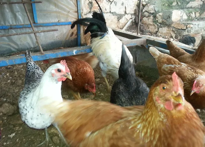 Εξοχικό σπίτι Beymelek Tas Evler